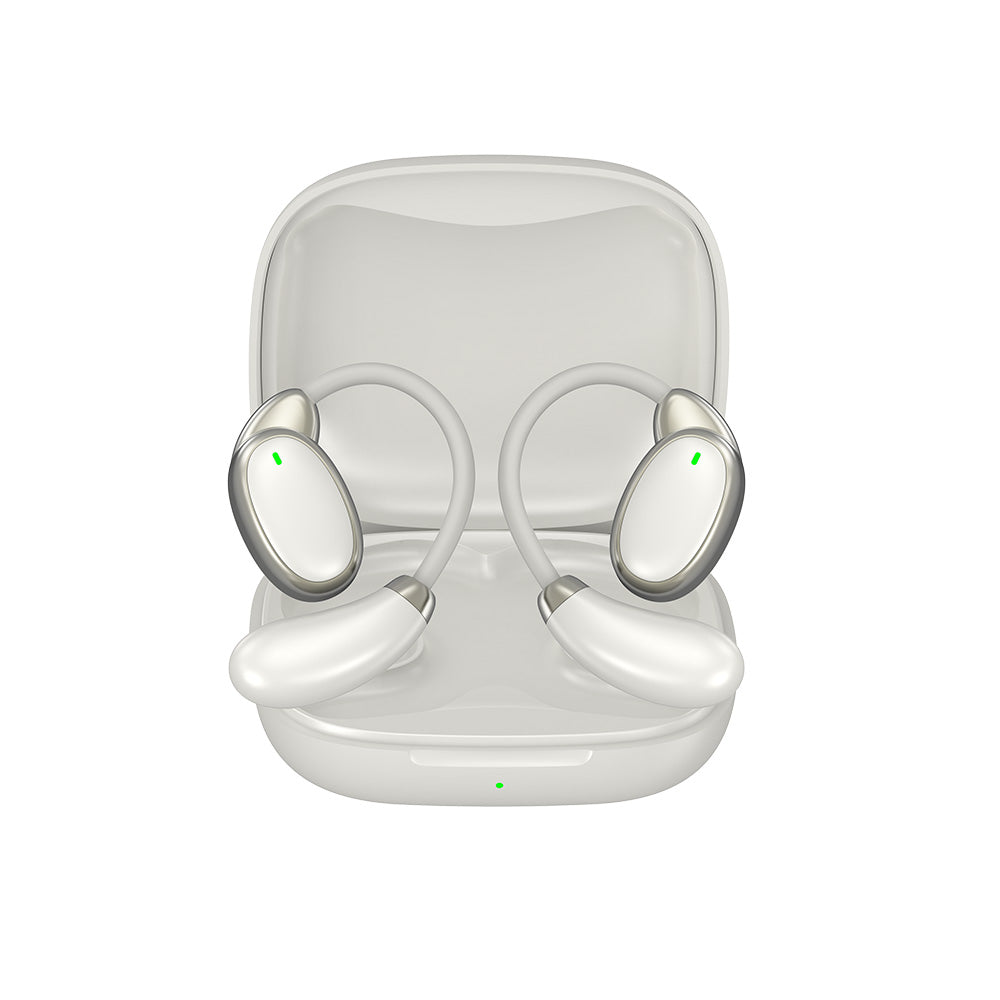 Smart Translation Earphones